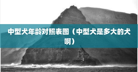 中型犬年龄对照表图（中型犬是多大的犬啊）