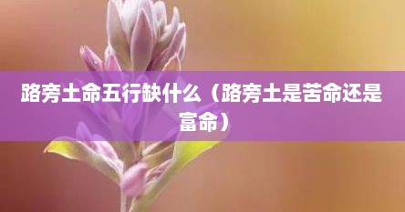 路旁土命五行缺什么（路旁土是苦命还是富命）