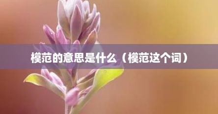 模范的意思是什么（模范这个词）
