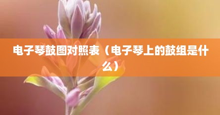 电子琴鼓图对照表（电子琴上的鼓组是什么）