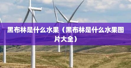 黑布林是什么水果（黑布林是什么水果图片大全）