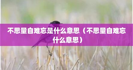 不思量自难忘是什么意思（不思量自难忘 什么意思）