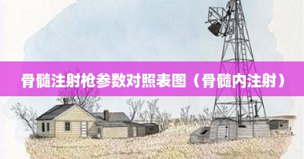 骨髓注射枪参数对照表图（骨髓内注射）