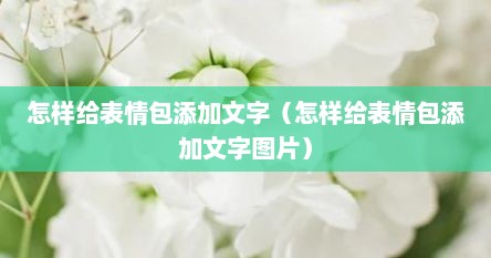 怎样给表情包添加文字（怎样给表情包添加文字图片）