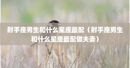 射手座男生和什么星座最配（射手座男生和什么星座最配做夫妻）