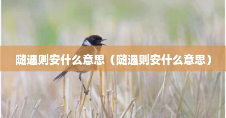 随遇则安什么意思（随遇则安什么意思）
