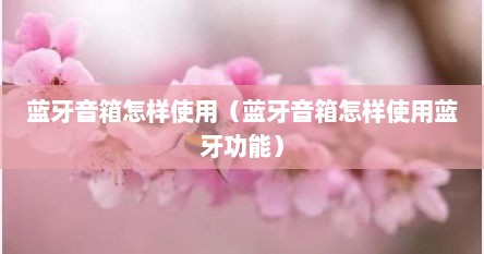 蓝牙音箱怎样使用（蓝牙音箱怎样使用蓝牙功能）