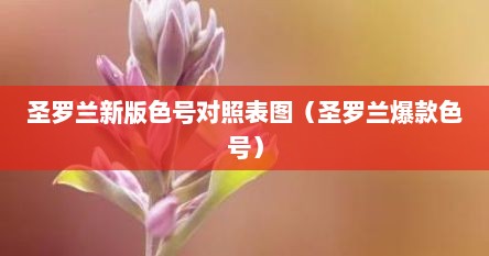 圣罗兰新版色号对照表图（圣罗兰爆款色号）