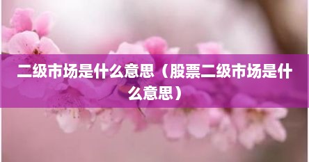 二级市场是什么意思（股票二级市场是什么意思）