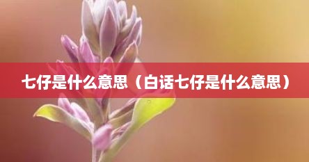 七仔是什么意思（白话七仔是什么意思）