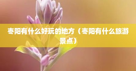 枣阳有什么好玩的地方（枣阳有什么旅游景点）