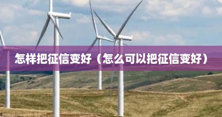 怎样把征信变好（怎么可以把征信变好）