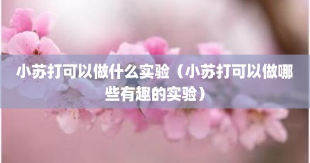 小苏打可以做什么实验（小苏打可以做哪些有趣的实验）