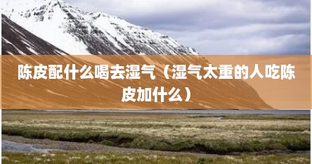 陈皮配什么喝去湿气（湿气太重的人吃陈皮加什么）