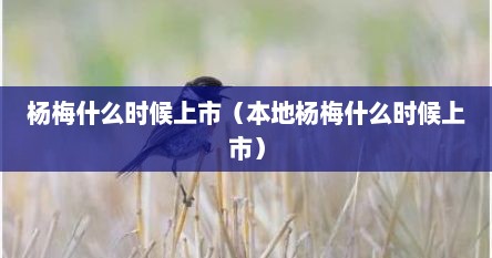 杨梅什么时候上市（本地杨梅什么时候上市）