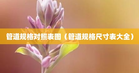 管道规格对照表图（管道规格尺寸表大全）