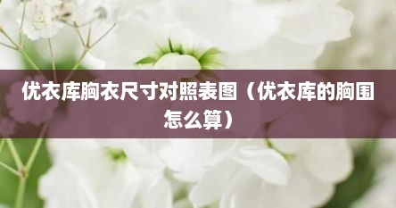 优衣库胸衣尺寸对照表图（优衣库的胸围怎么算）