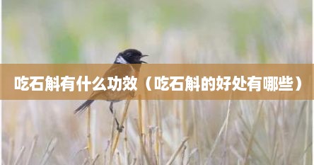 吃石斛有什么功效（吃石斛的好处有哪些）