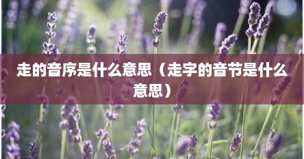 走的音序是什么意思（走字的音节是什么意思）