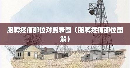 胳膊疼痛部位对照表图（胳膊疼痛部位图解）
