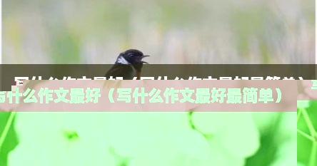 写什么作文最好（写什么作文最好最简单）