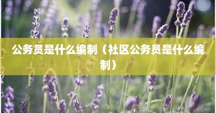 公务员是什么编制（社区公务员是什么编制）
