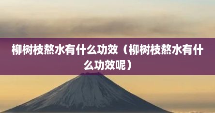 柳树枝熬水有什么功效（柳树枝熬水有什么功效呢）