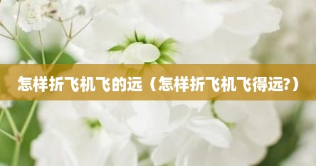 怎样折飞机飞的远（怎样折飞机飞得远?）