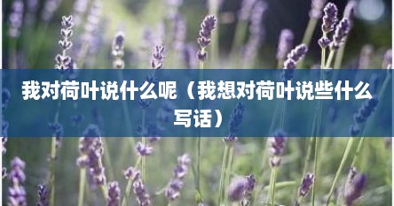我对荷叶说什么呢（我想对荷叶说些什么写话）