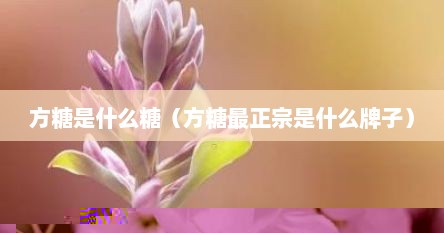 方糖是什么糖（方糖最正宗是什么牌子）