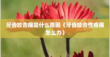 牙齿咬合痛是什么原因（牙齿咬合性疼痛怎么办）