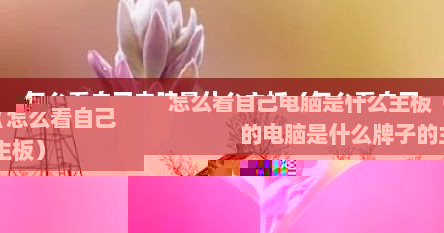 怎么看自己电脑是什么主板（怎么看自己的电脑是什么牌子的主板）