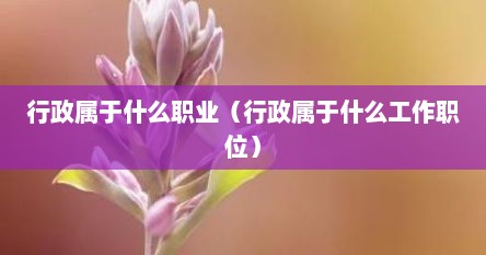行政属于什么职业（行政属于什么工作职位）
