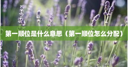 第一顺位是什么意思（第一顺位怎么分配）