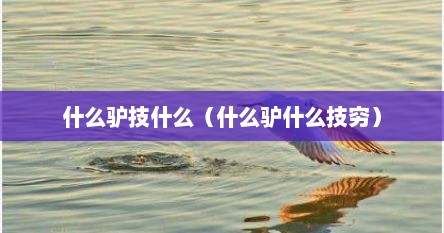 什么驴技什么（什么驴什么技穷）