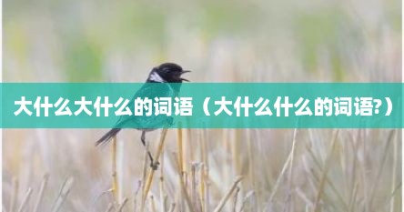 大什么大什么的词语（大什么什么的词语?）