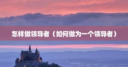 怎样做领导者（如何做为一个领导者）