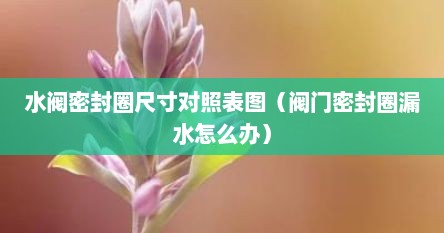 水阀密封圈尺寸对照表图（阀门密封圈漏水怎么办）