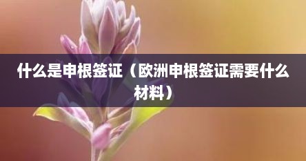 什么是申根签证（欧洲申根签证需要什么材料）