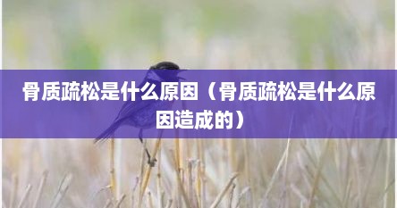 骨质疏松是什么原因（骨质疏松是什么原因造成的）