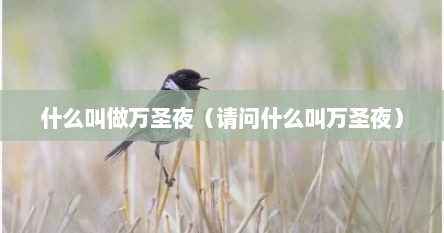 什么叫做万圣夜（请问什么叫万圣夜）