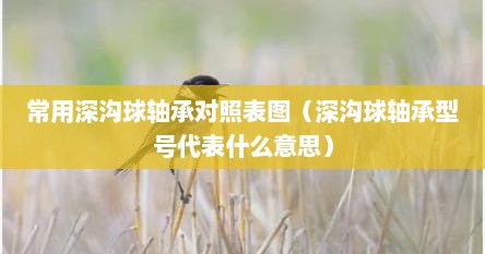 常用深沟球轴承对照表图（深沟球轴承型号代表什么意思）