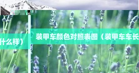 装甲车颜色对照表图（装甲车车长什么样）