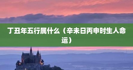 丁丑年五行属什么（辛未日丙申时生人命运）