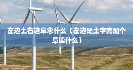 左边土右边阜念什么（左边是土字旁加个阜读什么）