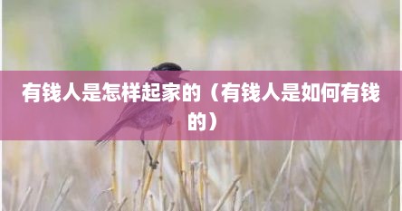 有钱人是怎样起家的（有钱人是如何有钱的）