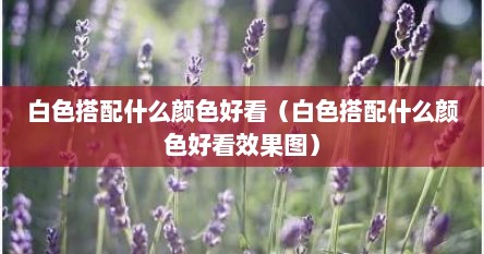 白色搭配什么颜色好看（白色搭配什么颜色好看效果图）