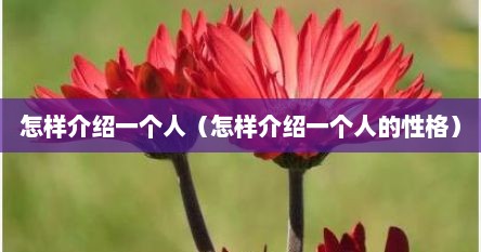 怎样介绍一个人（怎样介绍一个人的性格）