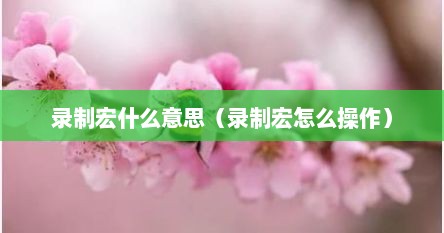 录制宏什么意思（录制宏怎么操作）