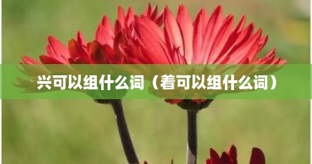 兴可以组什么词（着可以组什么词）